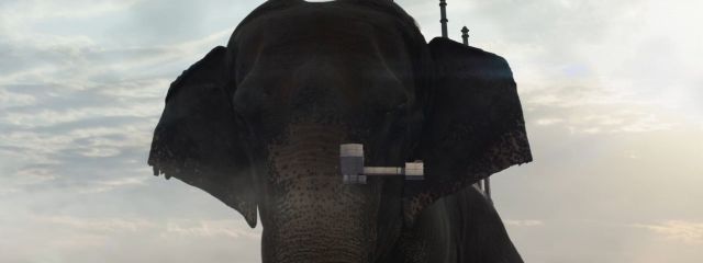 Elephant géant d'Inde