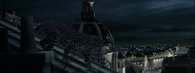 Panthère sur les toits de Paris