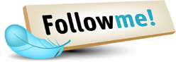 twitter button